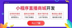 羅永浩直播帶貨1.1億元 教你玩轉電商直播