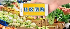 社區團購蔬菜品類為什么銷量高?要怎么做?